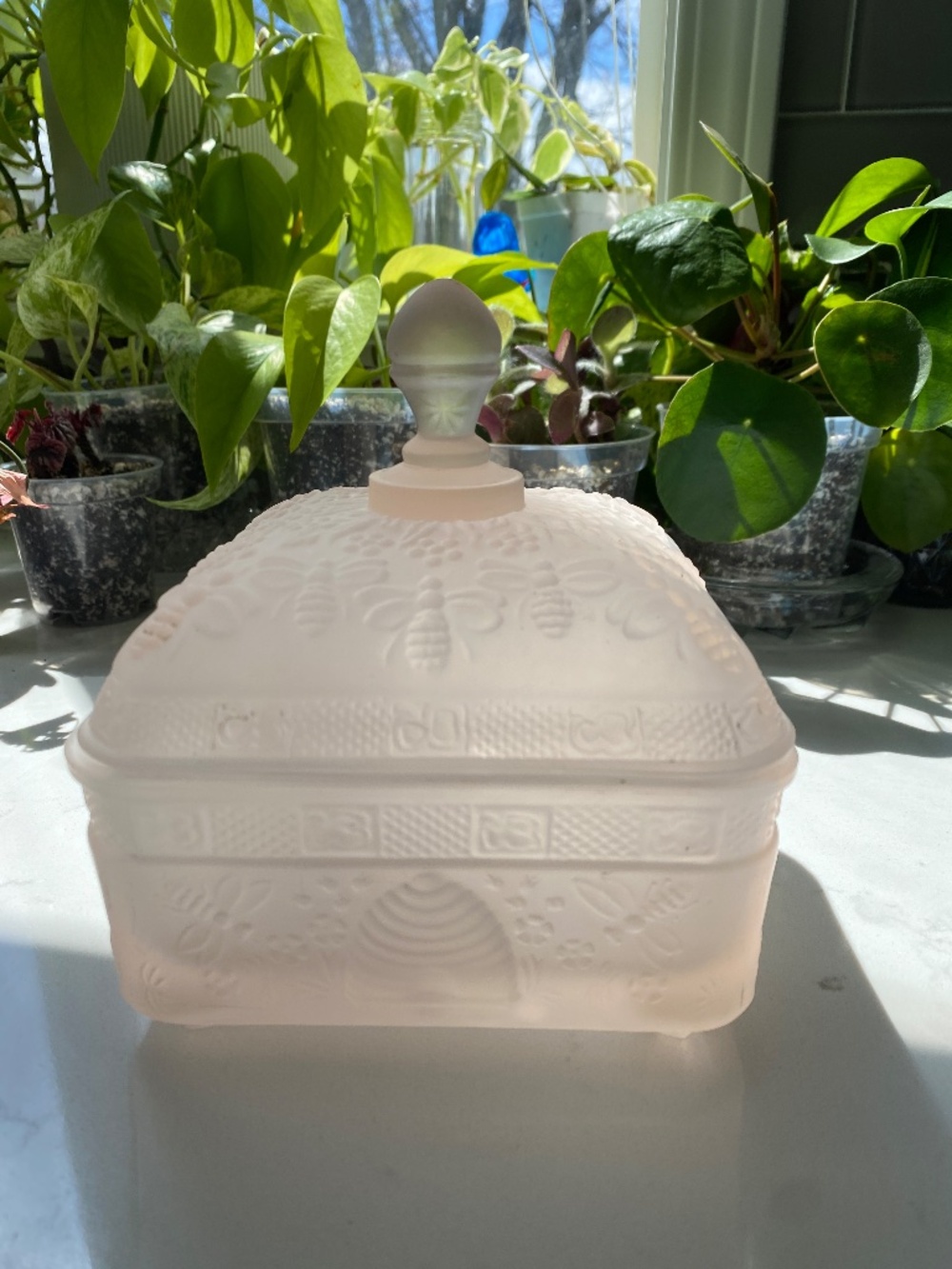 Vintage Indiana Glass Tiara Honey Bee Box Candy Dish - Frosted Pink - Picture 4 of 8